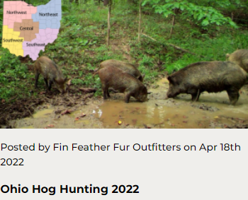 Ohio Hog Hunting 2022