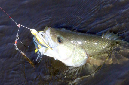 best bass lures spring bass fishing lures spinnerbait