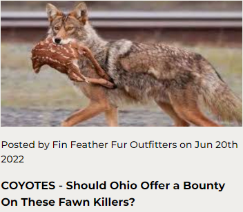 COYOTES - Should Ohio Offer a Bounty On These Fawn Killers?