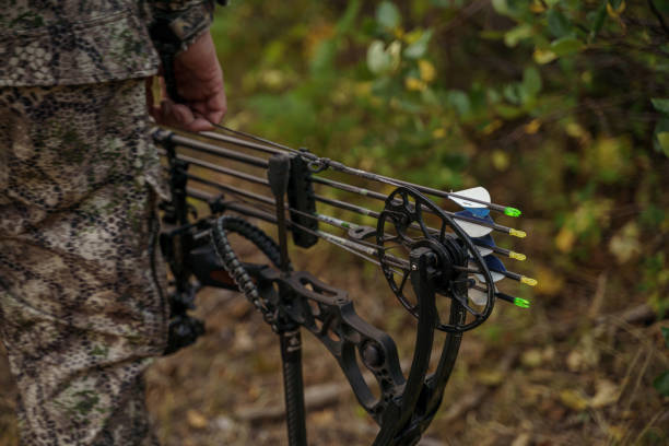 crossbow vs compound bow compound bows