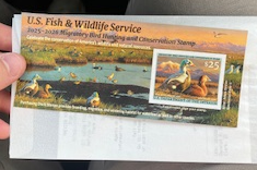 duck hunting duck stamp, legal duck hunting license and federal duck stamp duck hunting duck stamp, legal duck hunting license and federal duck stamp
