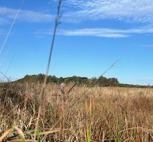 duck hunting gear checklist, all my duck hunting gear and duck hunting gear for ohio duck hunting gear checklist, all my duck hunting gear and duck hunting gear for ohio