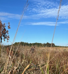 duck hunting gear checklist, duck hunting gear camo and opening day of duck hunting season gear guide duck hunting gear checklist, duck hunting gear camo and opening day of duck hunting season gear guide