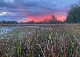 duck hunting gear checklist, my duck hunting gear and opening season duck hunt in ohio sunrise duck hunting gear checklist, my duck hunting gear and opening season duck hunt in ohio sunrise