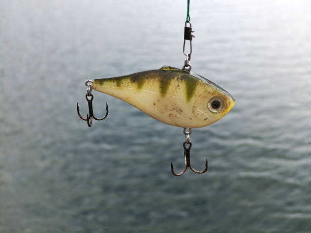 fall bass lures lipless crank fall bass lures lipless crank