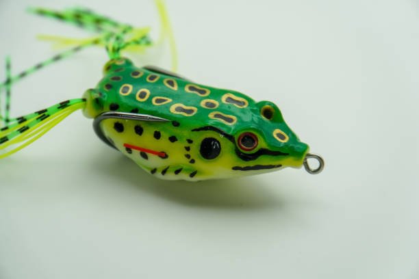 best bass lures topwater lures