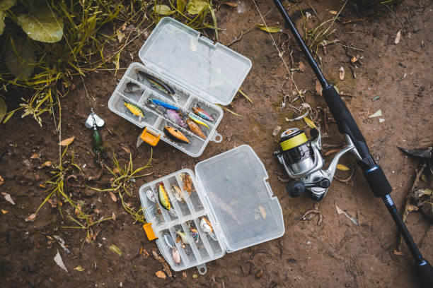 hard bait vs soft plastic lures hard bait tackle boxes