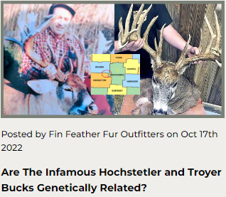 Are The Infamous Hochstetler and Troyer Bucks Genetically Related?