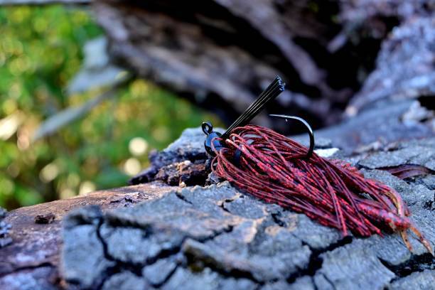 best bass lures jigs best summer bass bait