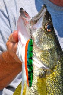 lake erie fishing lures, best lake erie summer lures, spoons, fishing spoons, fishing spoons walleye, walleye fishing spoons, lake erie fishing spoons lake erie fishing lures, best lake erie summer lures, spoons, fishing spoons, fishing spoons walleye, walleye fishing spoons, lake erie fishing spoons