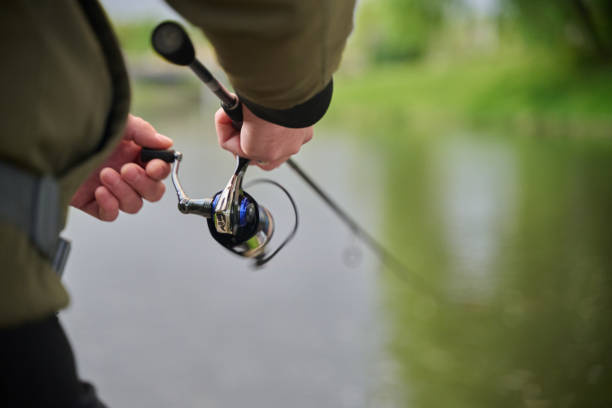 spinning reels the best spinning fishing reel spinning reels the best spinning fishing reel