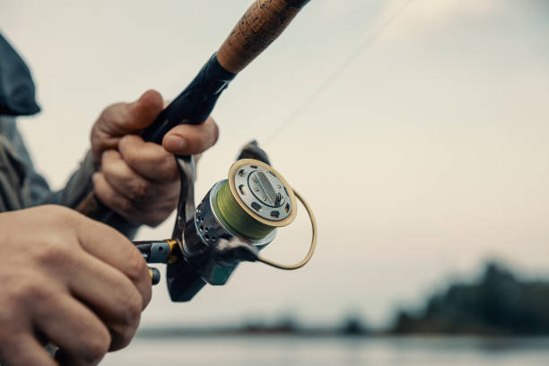 spinning reels what makes a good spinning reel spinning reels what makes a good spinning reel