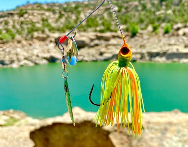 spinnerbait best spinnerbaits what is a spinnerbait spinnerbait best spinnerbaits what is a spinnerbait