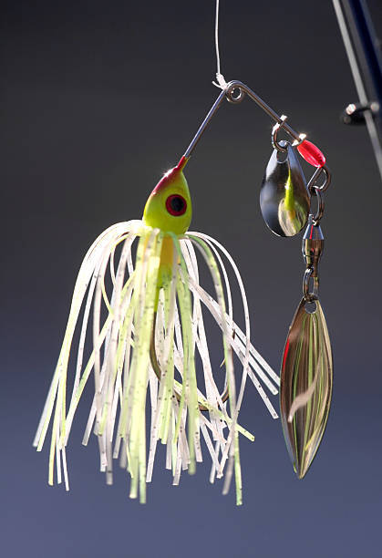 what is a spinnerbait best colors and conditions for spinnerbaits what is a spinnerbait best colors and conditions for spinnerbaits
